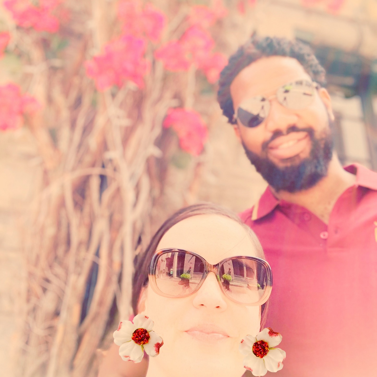 Montréal Hibiscus