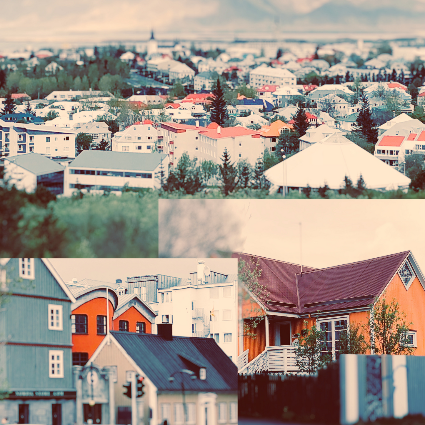 Reykjavík Color Pop